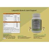 Labyrinth Joint Support_60T