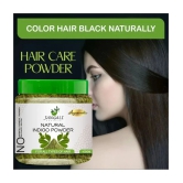 PURE Jangali ORGANICS Indigo Powder for black hair (200 g)