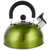 Renberg Induction Base Stainless Steel Whistling Kettle (2.25 Litres, Multicolour)