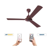 Orpat 1200 BLDC Moneysaver S Ceiling Fan Brown - Brown