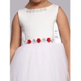 Toy Balloon Kids White Net Girls Gown ( Pack of 1 ) - None