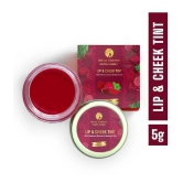 Regal Essence maroon Matte Lip Balm ( Pack of 1 )