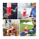 Milton Ancy 750 Thermosteel Water Bottle, 750 ml, Red | 24 Hours Hot and Cold | Easy to Carry | Rust Proof | Tea | Coffee | Office| Gym | Home | Kitchen | Hiking | Trekking | Travel Bottle -