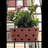 Oval Polka Dot Balcony Railing Planter-Green / Orange / 10