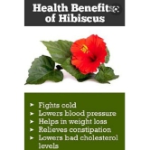 BioMed Hibiscus Powder 75 gm Pack Of 2