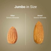 Nutraj Anmol Jumbo Size Sonora Almonds 500gm 500g