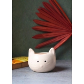 Kitty Planter