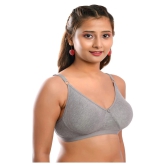 Elina Cotton T-Shirt Bra - Grey Single - 32C