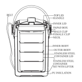 Milton Odyssey Insulated Tiffin, 4 Stainless Steel Containers, 380 ml Each and 1 Papad Box, 200 ml, Ivory