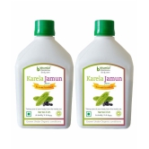 BHUMIJA LIFESCIENCES Karela Jamun Juice  Health Drink Liquid 2 l Pack of 2