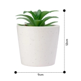 Anko Succulent in Pot Set of 2 - Indoor Planter for Home, Office, Garden, Balcony. Elegant Artificial Plants in Ceramic Pots, Two Sizes.-Anko Succulent in Pot Set of 2 | Indoor Planter for Home,