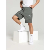 EVOSTRIPE Mens Shorts