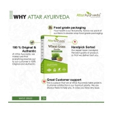 Attar Ayurveda Wheat Grass Powder (100 Gram) | Pure, Preservative free, Non-GMO | Immunity booster