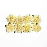 Cream White - Paper Flowers Clove