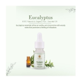 THE SKIN CO. - Eucalyptus Essential Oil 10 mL ( Pack of 1 )