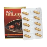 Multani Shilajeet Gold Capsule- For Youthful Living, Enriched With Gold, Kesar, Safed Musli & Shilajeet Original, Ayurvedic Shilajit Capsule For Stamina & Endurance, 10 Capsule