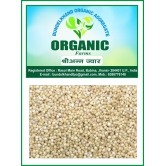 Organic Millets Jwar