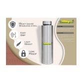 HomePro - Stainless Steel Bottle 100% leak proof Pack of 1 for Home | Gym | Fridge | School | Office | Trekking & Hiking Bottle - Silver