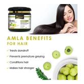 KAYABOOST Amla Powder for Drink, Eating, Hair Growth & Hair Strong (200 g)