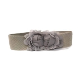 Livisorb Gray Fabric Casual Belt - None