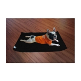 SOFTSPUN Dog Wellness Accessories ( 1 L )