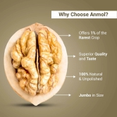 Nutraj Anmol Premium Walnut Kernel (Jumbo Size - Rare Crop - Natural) 500gm 500g