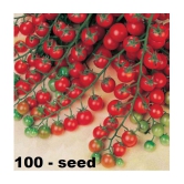 Cherry Tomato High Germination Seeds - Pack Of 50 Hybrid Seeds