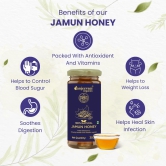 Sanjeevani Organic 100 % Jamun Honey 300g | Indian Blackberry  Raw and Unprocessed Honey