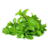 Mint Leaves 100 gms