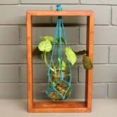 BARISH - Table Top Planter Wooden Frame (Single) | Handcrafted with Rubberwood | Wooden Frame with Glass Mason Jars | Indoor Planter with Stand 15.25 x 9.5 x 2 Inches