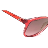 Pink Bugeye Sunglasses for Women