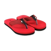 Phonolite Red Men's Thong Flip Flop - None