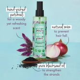 Onion, Black Seed Oil & Patchouli Hairfall Control Hair Oil - 200ml