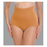 Madam - Beige Spandex Womens Shaper Brief ( Pack of 1 ) - None