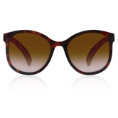 Brown Oval Women Sunglasses (P381BR1F|60)