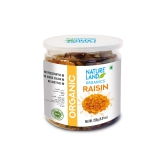 Raisins - 250 gm