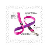 Pets Way Dual Color Leash - Fuschia & Amethyst-XL