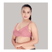 HAYA Multicolor Cotton Non Padded Womens Push Up Bra ( Pack of 2 ) - None