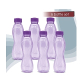 Milton - Purple Water Bottle 1000 mL ( Set of 6 ) - Purple