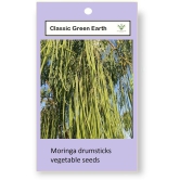 CLASSIC GREEN EARTH - Drumstick Vegetable ( 20 Seeds )