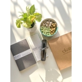 Sustainable Productivity Gift hamper by Ekatra - Solid Grey