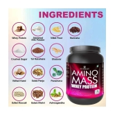 Nutriley Amino Mass Whey Protein ( 500 gm , American Ice Cream - Flavour )