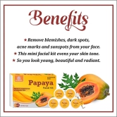 Soundarya Herbs Papaya Prevent Pigmentation & Blemished Skin Facial Kit-140g