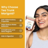 Marigold Green Tea - Tea Bags-Pack of 45