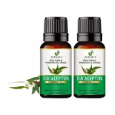 Pure Jangali Organics Eucalyptus Essential Oil 30 mL ( Pack of 2 )