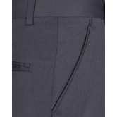 Grey Normal Fit Trousers-32