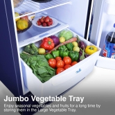 Godrej 180 L 2 Star Advanced Capillary Technology, With Jumbo Vegetable Tray Direct Cool Single Door Refrigerator (RD EDGE 205B WRF PP BL, Pep Blue)