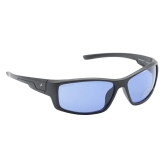 Blue Sports Sunglasses for Men