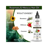 Phillauri Hair Growth Rosemary Oil 100 ml ( Pack of 1 )