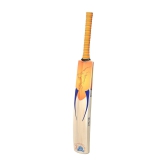 CSK English Willow Bat-FULL / Orange/Navy / English Willow Bat